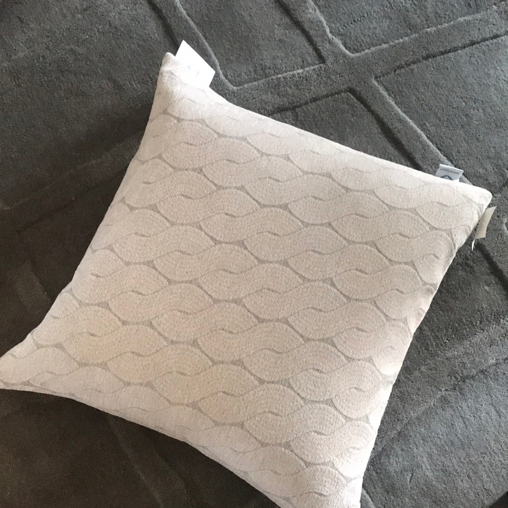 NWT Westex Chenille feather Grey Pillow